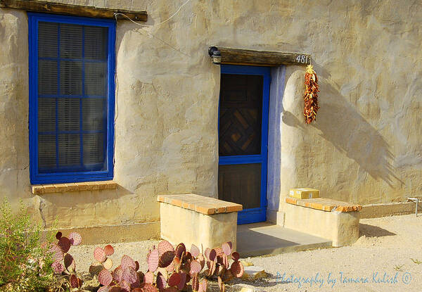 Arizona Art Print featuring the photograph Old Adobe House 2 by Tamara Kulish