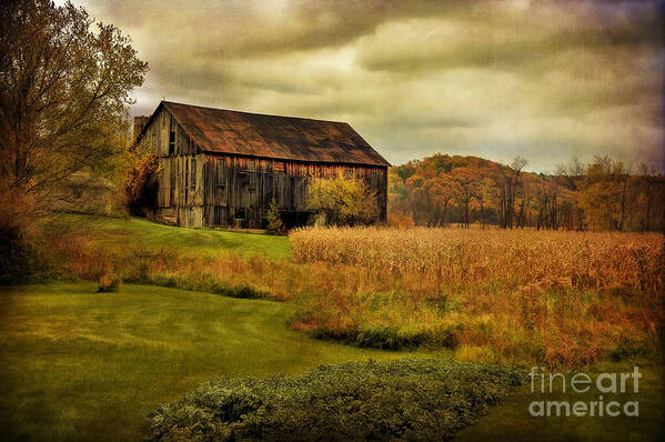 Barn Art Print featuring the photograph Old Barn In October by Lois Bryan