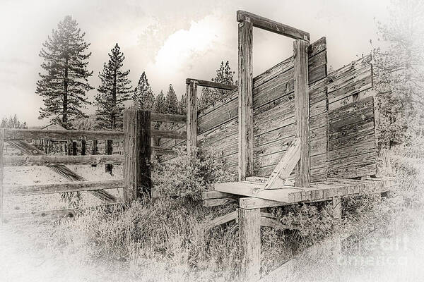 Ranch Art Print featuring the photograph Old Cattle Ramp by Dianne Phelps