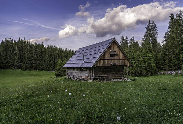 Old Art Print featuring the photograph Old cottage by Robert Krajnc