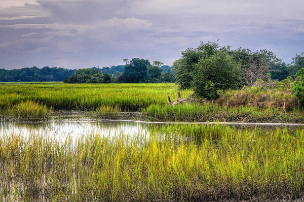 Storm Art Print featuring the photograph Old Fence Line at the Whale Branch by Scott Hansen