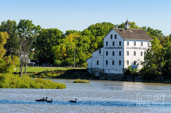 Old Art Print featuring the photograph Old Mill on Grand River in Caledonia in Ontario by Les Palenik