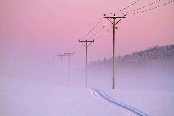 Scenics Art Print featuring the photograph Old Powerlines by Www.wm Artphoto.se