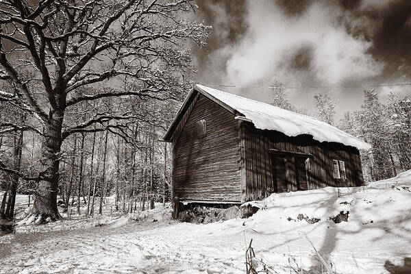 Cottages Art Print featuring the photograph Old Rural Barn In A Winter Landscape by Christian Lagereek