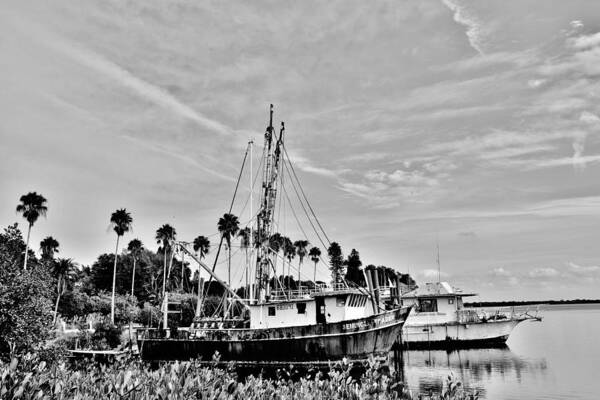 Old Boat Art Print featuring the photograph Old Seminole Trader by Alison Belsan Horton