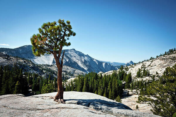 Scenics Art Print featuring the photograph Olmsted Point And Half Dome In Yosemite by Pavliha