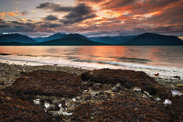 Hood Canal Art Print featuring the photograph Olympic Sunset by Ryan Manuel