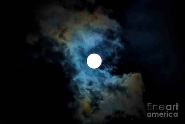 Supermoon Art Print featuring the photograph oN a HaLF SHeLL by Angela J Wright