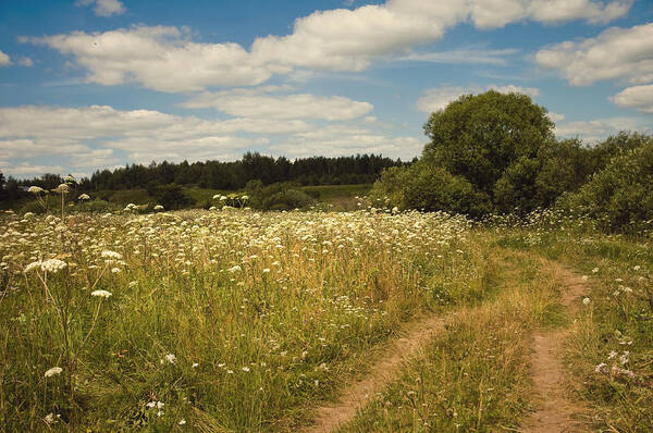 Meadow Art Print featuring the photograph On the Summer Meadow II. Russia by Jenny Rainbow