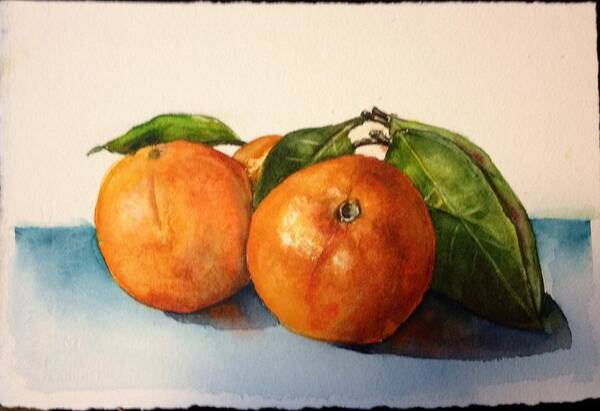 Watercolor Art Print featuring the painting Orange by Diane Ziemski