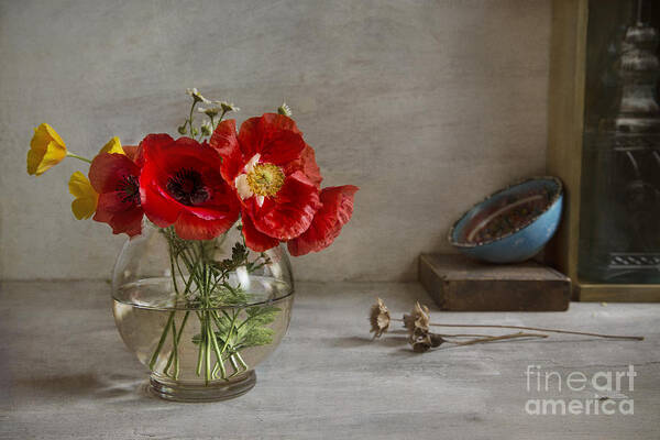 Oriental Poppies Art Print featuring the photograph Oriental Poppies by Elena Nosyreva