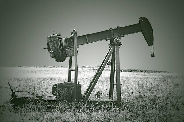 Texas Art Print featuring the photograph Orphans of the Texas Oil Fields by Alexandra Till