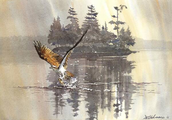 Canada Art Print featuring the painting Osprey Hunting No.2 by David Gilmore