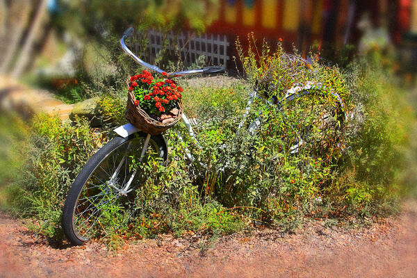 Bike Art Print featuring the photograph Overgrown Bicycle with Flowers by Mike McGlothlen