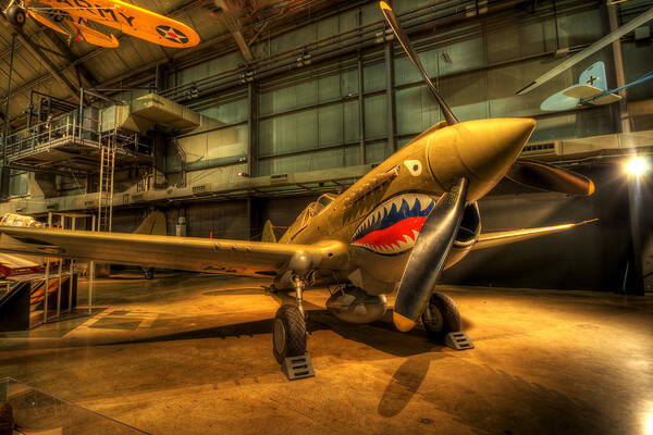 Curtiss Art Print featuring the photograph P-40 Warhawk by David Dufresne