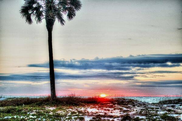 Alabama Art Print featuring the digital art Palm and Sun by Michael Thomas