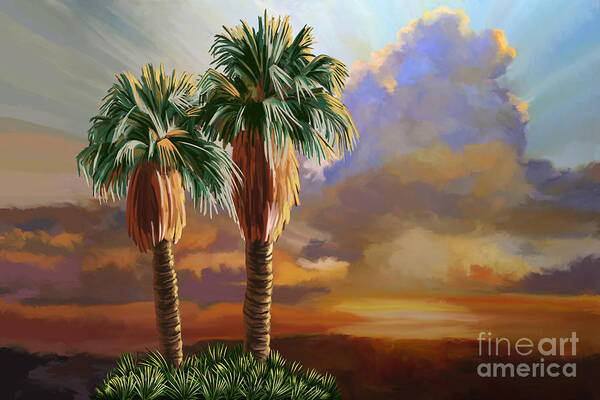 Cabo San Lucas Art Print featuring the painting Palm Tree Cabo Sunset by Tim Gilliland