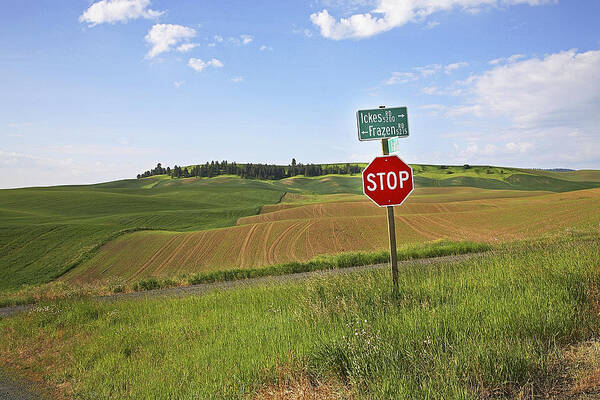 Stop Art Print featuring the photograph Palouse Stop Sign by Buddy Mays