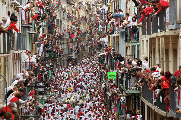 Animal Art Print featuring the photograph Pamplona Running Of The Bulls by Pablo Blazquez Dominguez