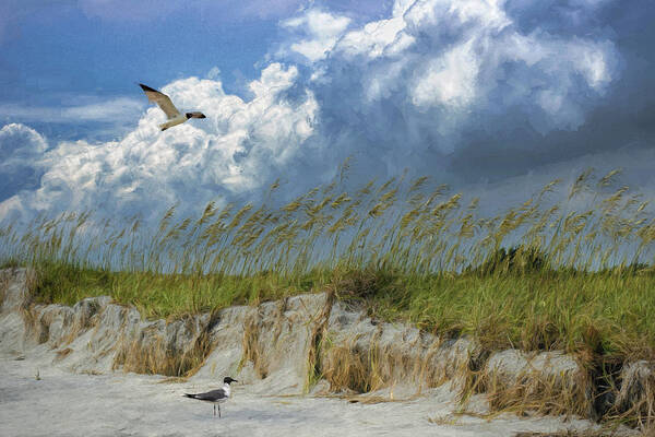 Beach Art Print featuring the photograph Paradise by Richard Macquade
