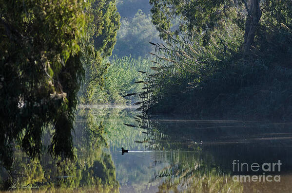 Countryside Art Print featuring the photograph Pastoral morning by Arik Baltinester