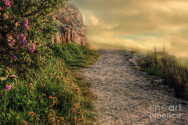 Enchantment Art Print featuring the photograph Path of Enchantment by Brenda Giasson