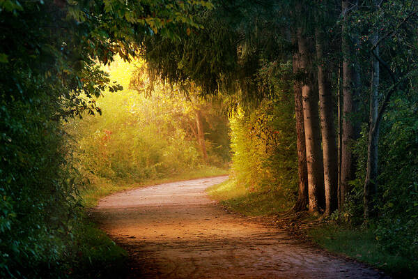 Trail Art Print featuring the photograph Path to Enlightenment by Rob Blair