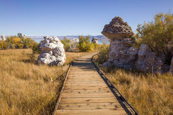 Lake Art Print featuring the photograph Path To Mono Lake by Priya Ghose