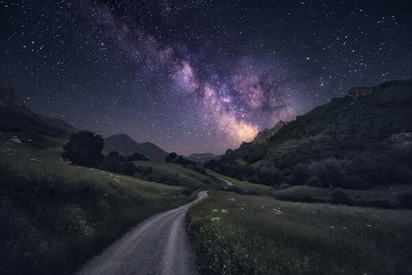 Landscape Art Print featuring the photograph Path To The Stars by Carlos F. Turienzo