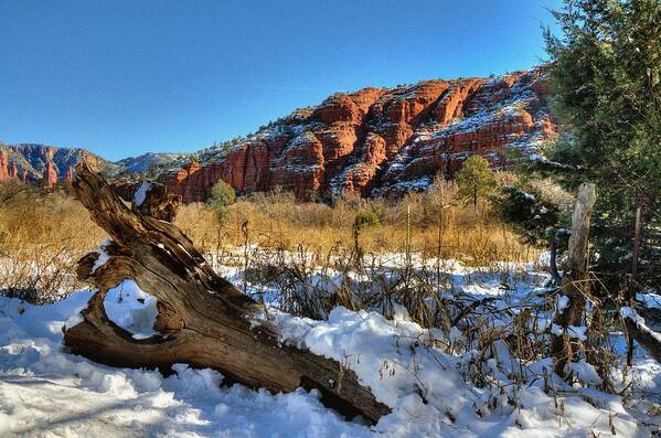 Landscapes Rocks Color Grass Bushes Fencing Trees Beauty Sky Dead Log Peaceful Color Greens Reds Blue Sky's Outdoors Sedona Red Rock Crossing Northern Arizona. Art Print featuring the photograph Peace at the Crossing by Thomas Todd