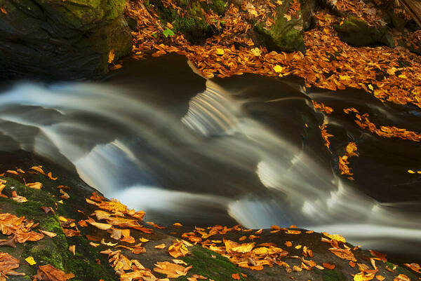 Ricketts Glen Art Print featuring the photograph Peaceful Falls by Paul W Faust - Impressions of Light