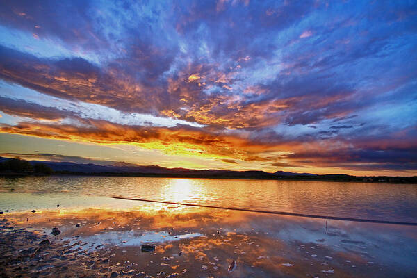 Gold Art Print featuring the photograph Peaceful Reflections by James BO Insogna