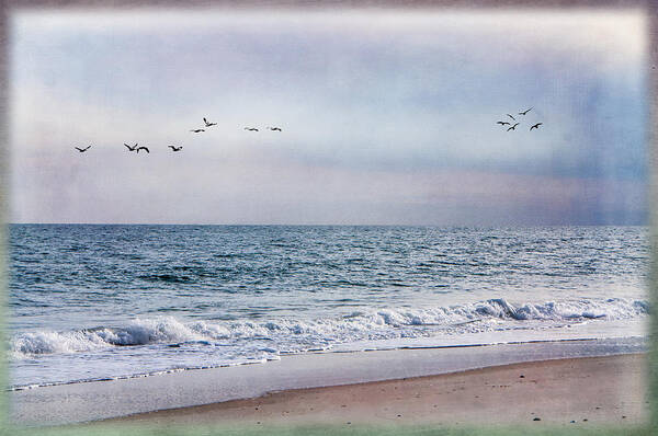 Beach Art Print featuring the photograph Peaceful Shore by Cathy Kovarik
