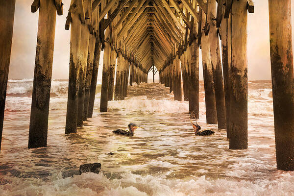 Topsail Art Print featuring the photograph Pelican Paradise by Betsy Knapp