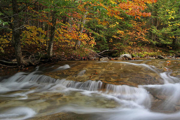 New Hampshire Art Print featuring the photograph Pemigewasset River Cascades in Autumn by Juergen Roth
