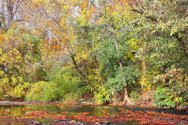 Horizontal Art Print featuring the digital art Pennsylvania Autumn Pennypack Creek Philadelphia Pennsylvania by A Macarthur Gurmankin