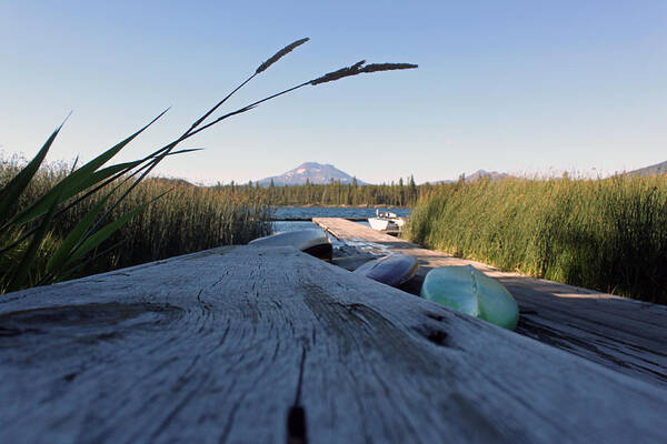 Lava Lake Oregon Art Print featuring the photograph Perspective by Kami McKeon