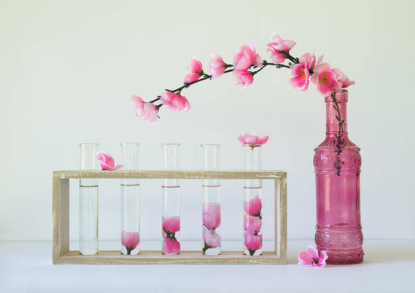 Pink Art Print featuring the photograph Petal Collecting by Jacqueline Hammer