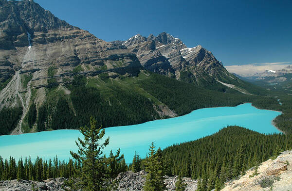 Art Art Print featuring the photograph Peyto Lake. Banff National Park in Alberta. by Rob Huntley