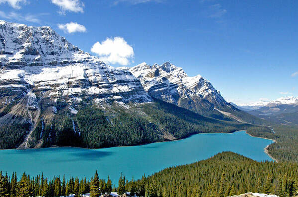 Canada Art Print featuring the photograph Peyto Lake October by Jeremy Rhoades