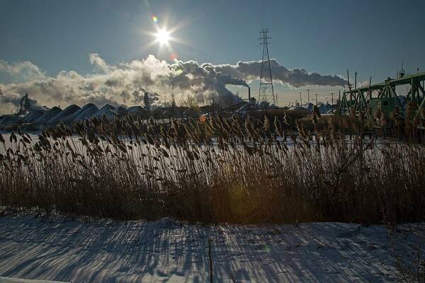 Sun Art Print featuring the photograph Phragmites Reeds And Steel Mill by Jim West
