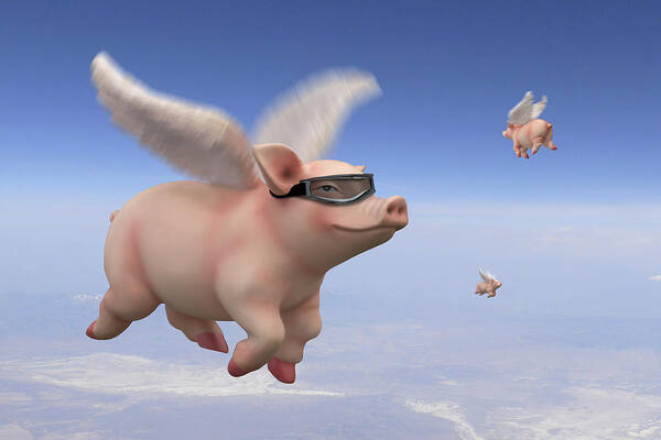 Pigs Fly Art Print featuring the photograph Pigs Fly 1 by Mike McGlothlen
