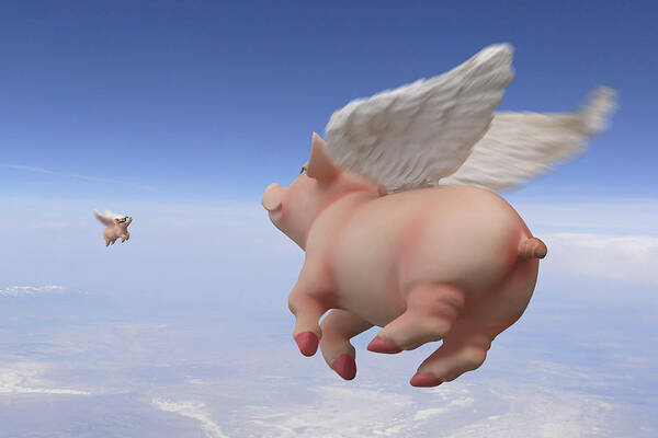 Pigs Fly Art Print featuring the photograph Pigs Fly 2 by Mike McGlothlen