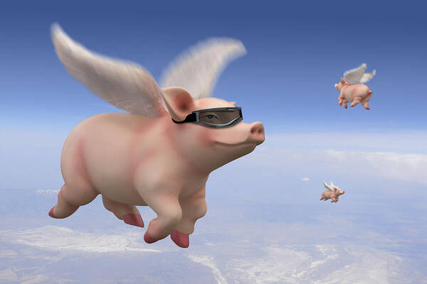 Pigs Fly Art Print featuring the photograph Pigs Fly by Mike McGlothlen