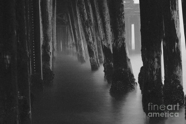 Pier Art Print featuring the photograph Pillars and Fog 1 by Paul Topp