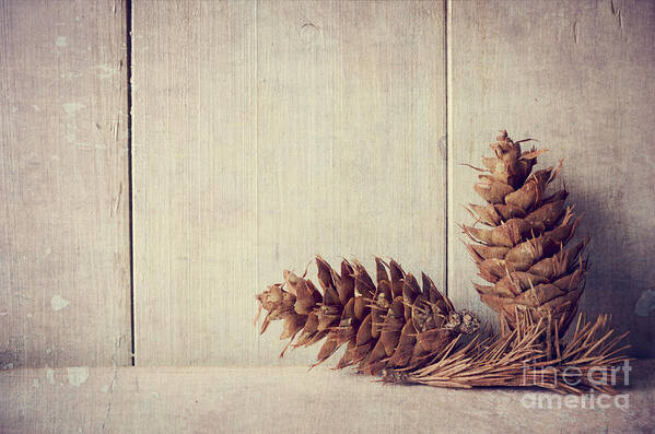 Christmas Art Print featuring the photograph Pine cones by Jelena Jovanovic