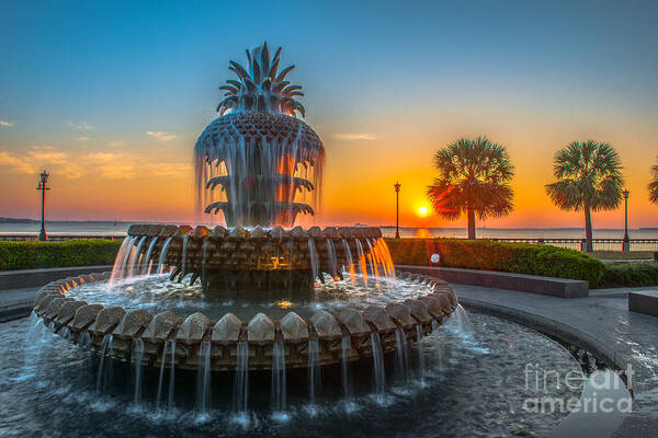 Pineapple Fountain Art Print featuring the photograph Charleston Pineapple Sunrise by Dale Powell