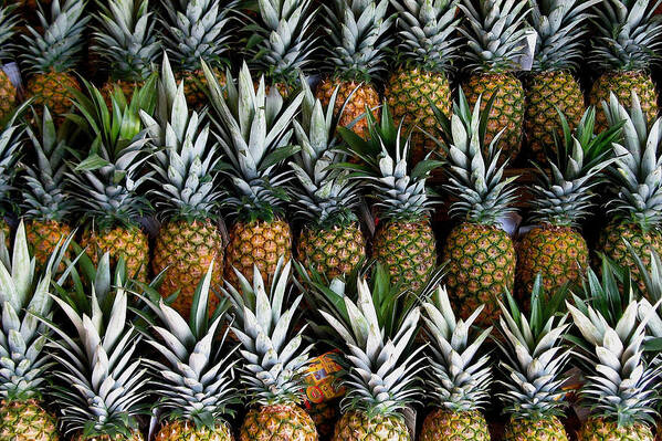 Pineapples Art Print featuring the photograph Pineapples by Gia Marie Houck