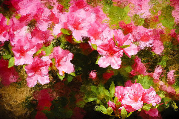 :penny Lisowski Art Print featuring the photograph Pink Azealas by Penny Lisowski
