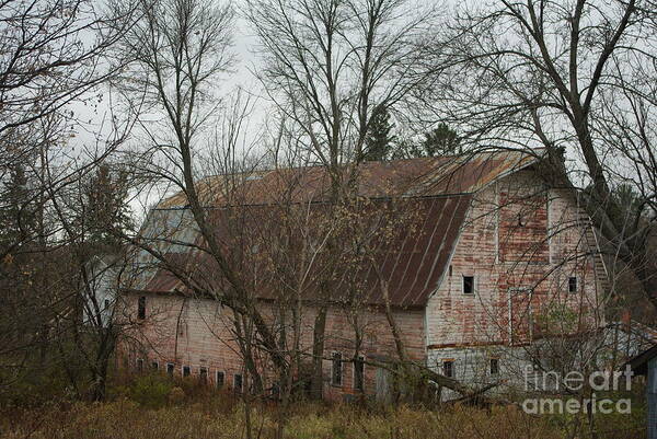 Pink Barn Art Print featuring the photograph Pink Barn by Alice Markham